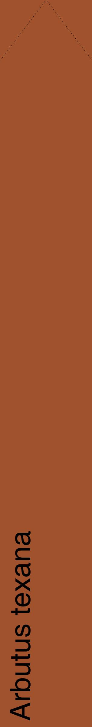 Étiquette de : Arbutus texana - format c - style noire32_simplehel avec comestibilité