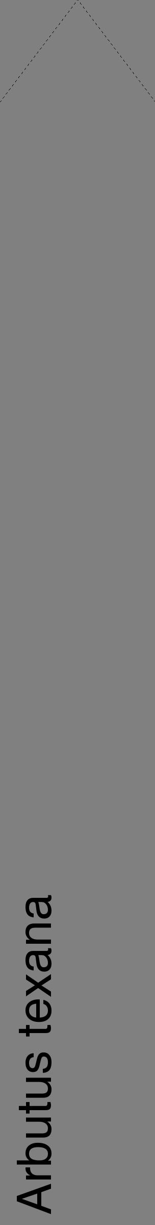 Étiquette de : Arbutus texana - format c - style noire57_simplehel avec comestibilité