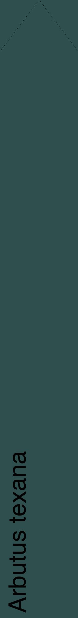 Étiquette de : Arbutus texana - format c - style noire58_simplehel avec comestibilité