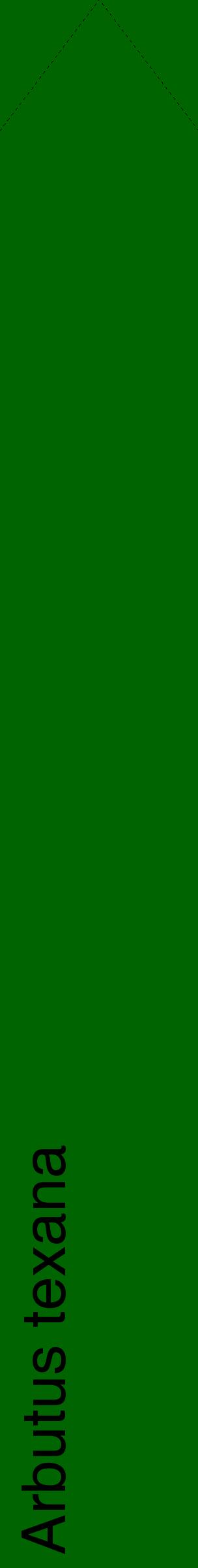 Étiquette de : Arbutus texana - format c - style noire8_simplehel avec comestibilité