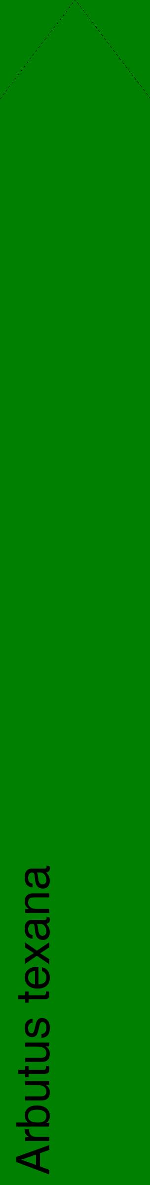 Étiquette de : Arbutus texana - format c - style noire9_simplehel avec comestibilité