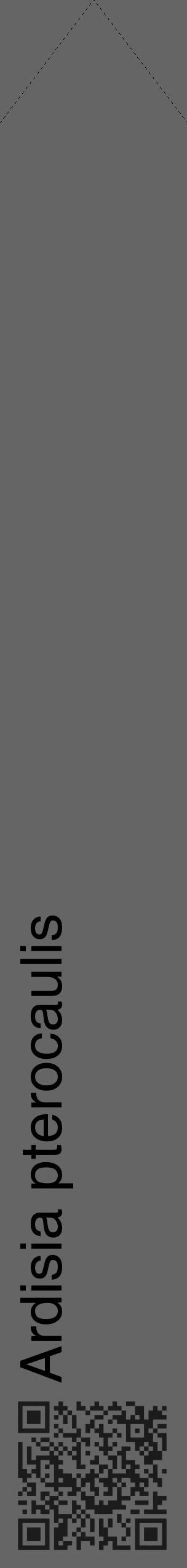 Étiquette de : Ardisia pterocaulis - format c - style noire32_simple_simplehel avec qrcode et comestibilité - position verticale