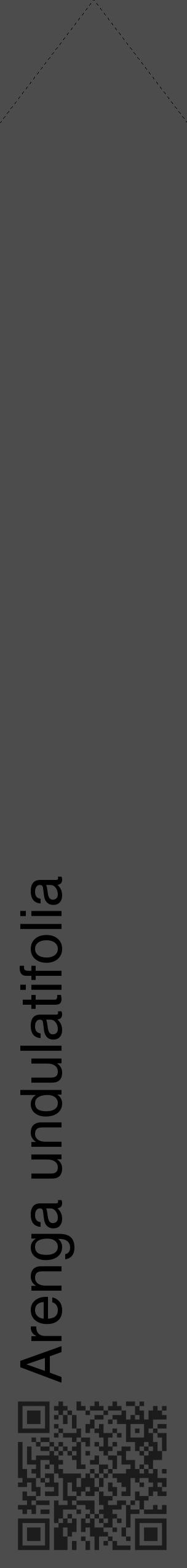 Étiquette de : Arenga undulatifolia - format c - style noire27_simple_simplehel avec qrcode et comestibilité - position verticale