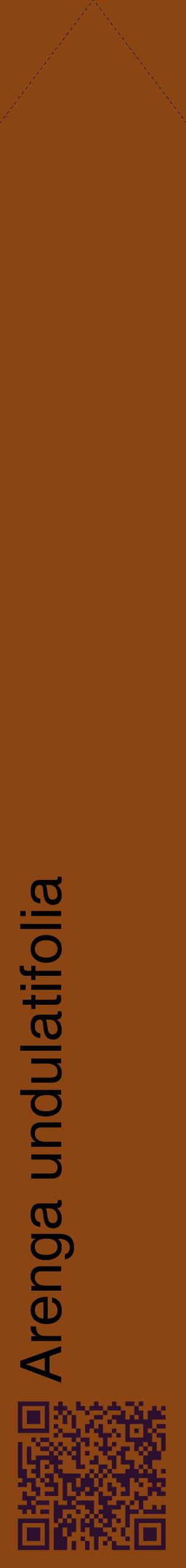 Étiquette de : Arenga undulatifolia - format c - style noire30_simplehel avec qrcode et comestibilité