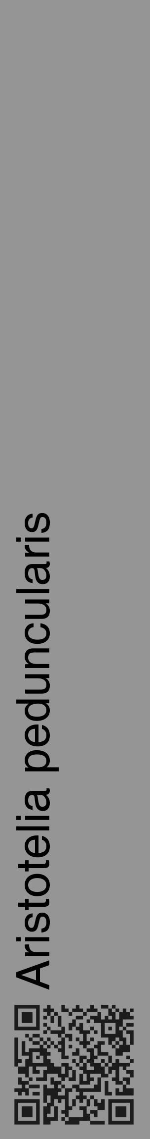 Étiquette de : Aristotelia peduncularis - format c - style noire16_basique_basiquehel avec qrcode et comestibilité - position verticale