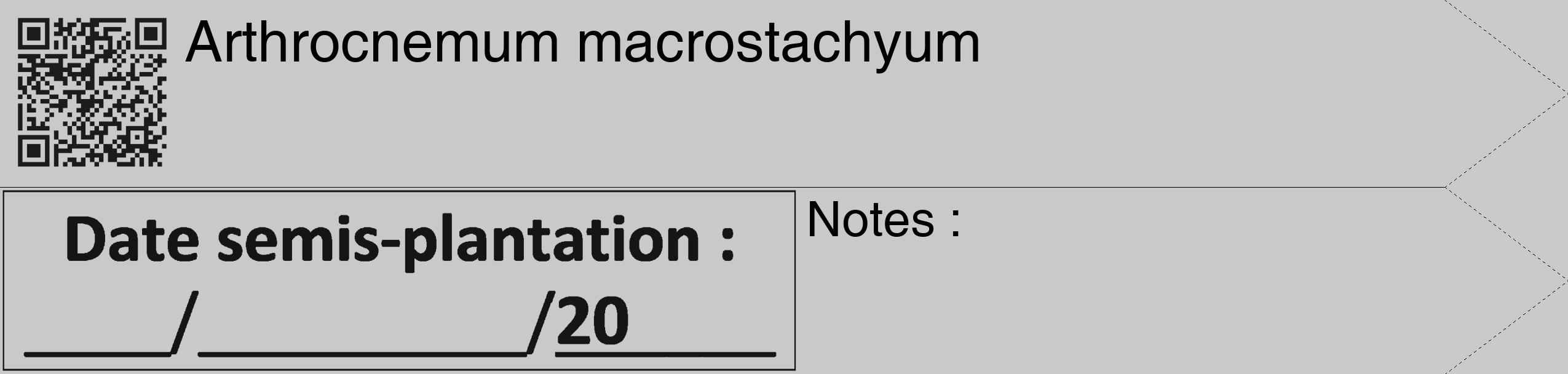 Étiquette de : Arthrocnemum macrostachyum - format c - style noire54_simple_simplehel avec qrcode et comestibilité