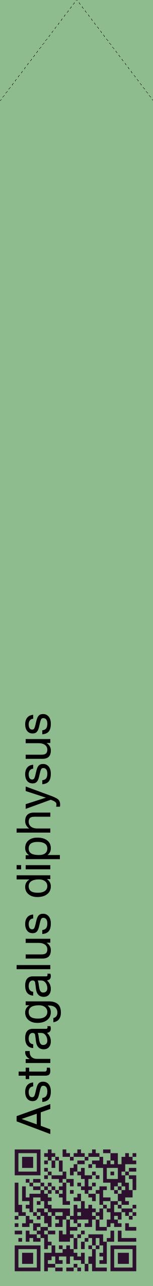 Étiquette de : Astragalus diphysus - format c - style noire13_simplehel avec qrcode et comestibilité
