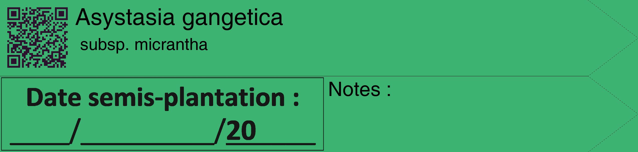 Étiquette de : Asystasia gangetica subsp. micrantha - format c - style noire12_simple_simplehel avec qrcode et comestibilité