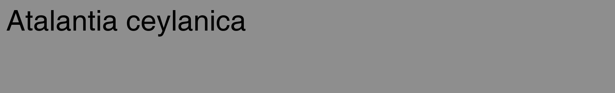 Étiquette de : Atalantia ceylanica - format c - style noire25_basique_basiquehel avec comestibilité