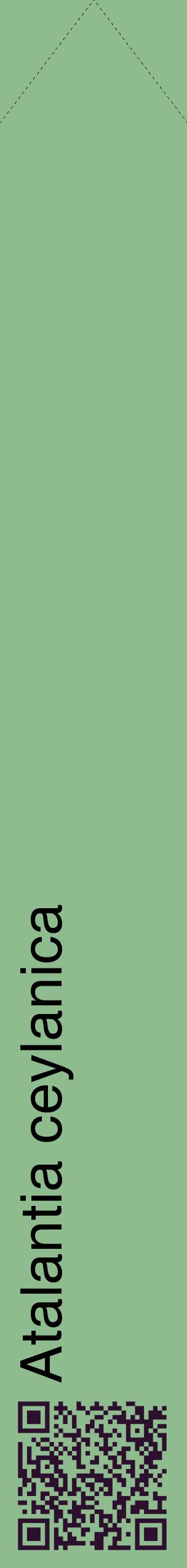 Étiquette de : Atalantia ceylanica - format c - style noire13_simplehel avec qrcode et comestibilité