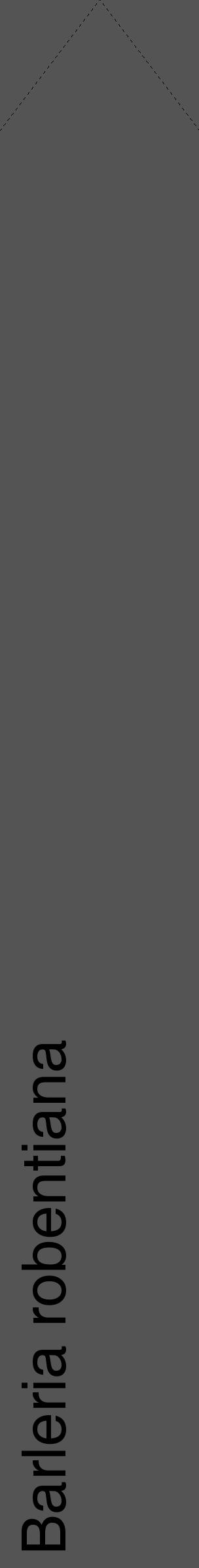 Étiquette de : Barleria robentiana - format c - style noire30_simple_simplehel avec comestibilité - position verticale