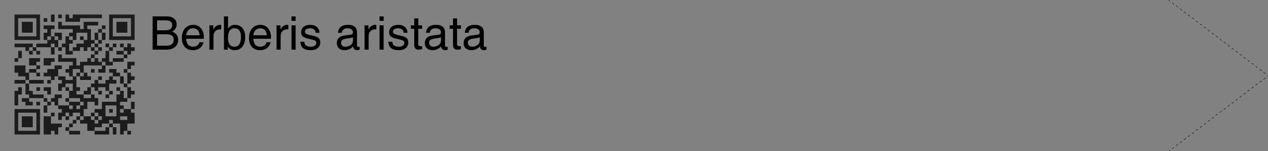 Étiquette de : Berberis aristata - format c - style noire50_simple_simplehel avec qrcode et comestibilité