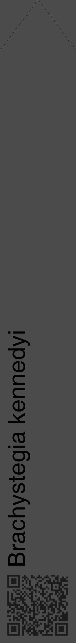 Étiquette de : Brachystegia kennedyi - format c - style noire9_simple_simplehel avec qrcode et comestibilité - position verticale
