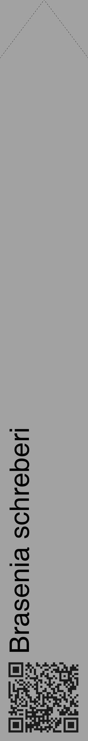 Étiquette de : Brasenia schreberi - format c - style noire38_simple_simplehel avec qrcode et comestibilité - position verticale