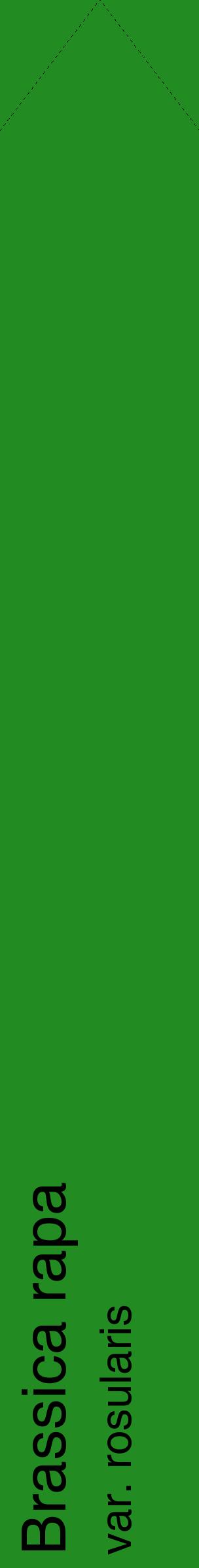 Étiquette de : Brassica rapa var. rosularis - format c - style noire10_simplehel avec comestibilité