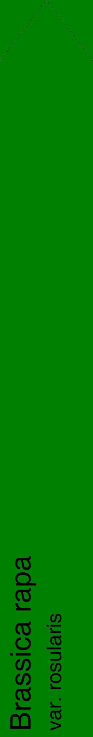 Étiquette de : Brassica rapa var. rosularis - format c - style noire9_simplehel avec comestibilité