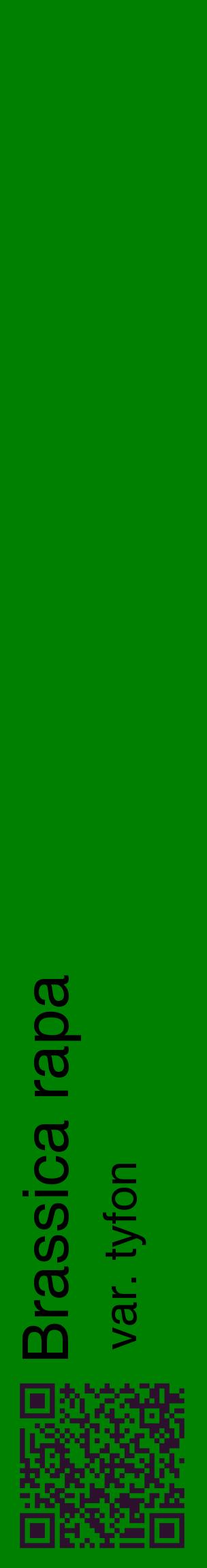 Étiquette de : Brassica rapa var. tyfon - format c - style noire9_basiquehel avec qrcode et comestibilité