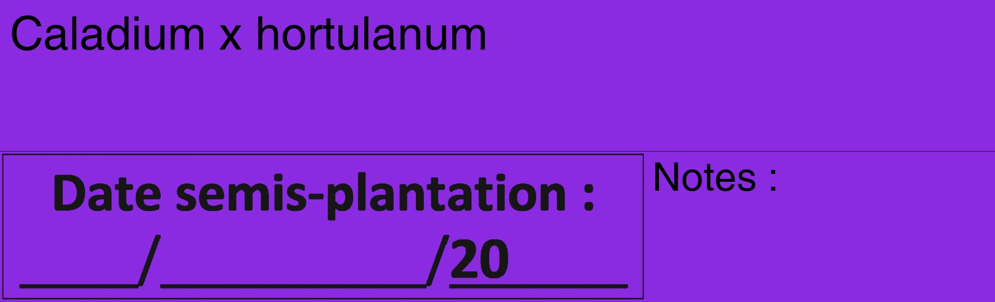 Étiquette de : Caladium x hortulanum - format c - style noire49_basique_basiquehel avec comestibilité