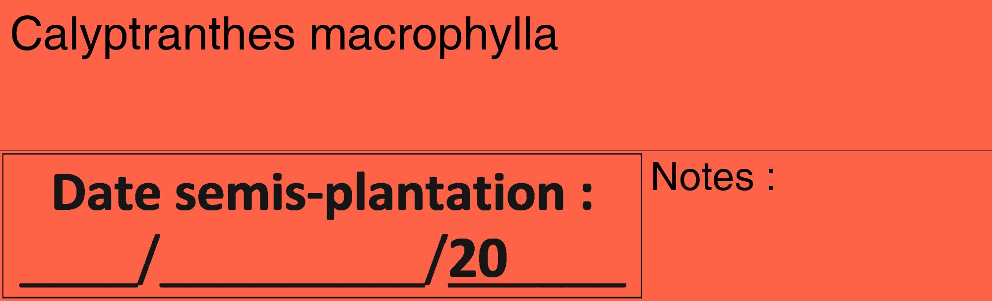 Étiquette de : Calyptranthes macrophylla - format c - style noire25_basique_basiquehel avec comestibilité