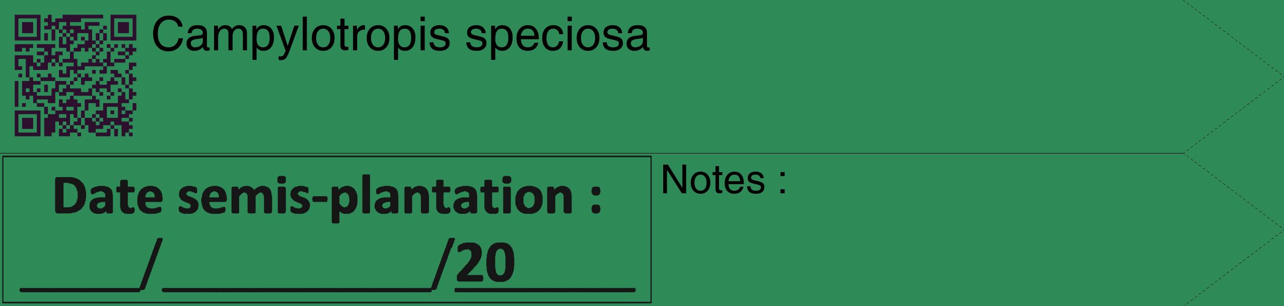 Étiquette de : Campylotropis speciosa - format c - style noire11_simple_simplehel avec qrcode et comestibilité