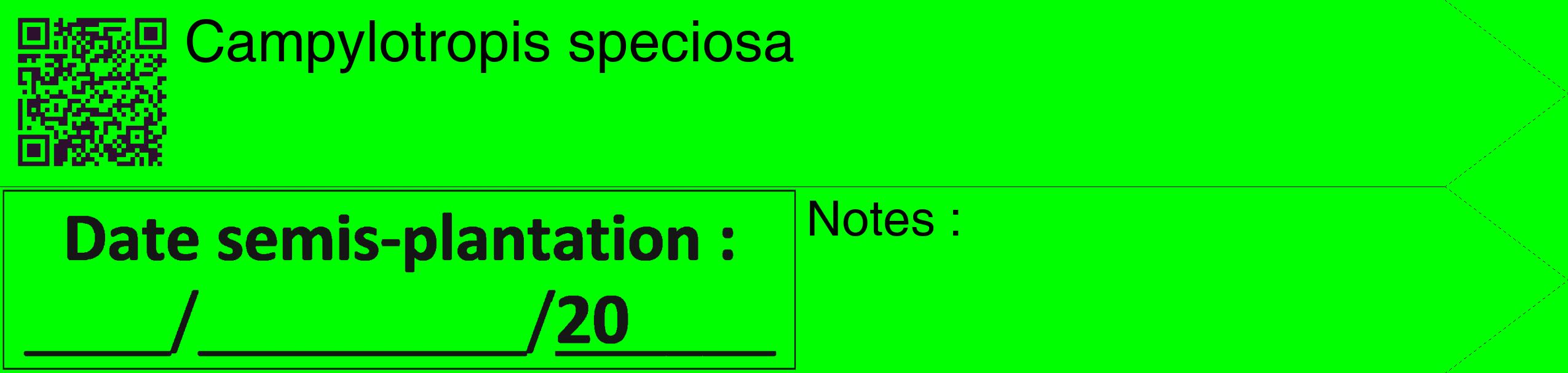 Étiquette de : Campylotropis speciosa - format c - style noire16_simple_simplehel avec qrcode et comestibilité