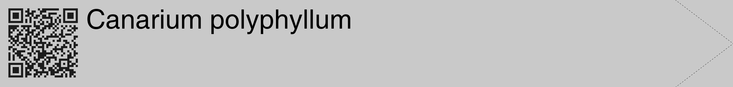 Étiquette de : Canarium polyphyllum - format c - style noire54_simple_simplehel avec qrcode et comestibilité