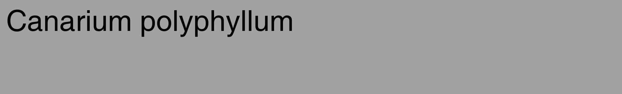 Étiquette de : Canarium polyphyllum - format c - style noire38_basique_basiquehel avec comestibilité