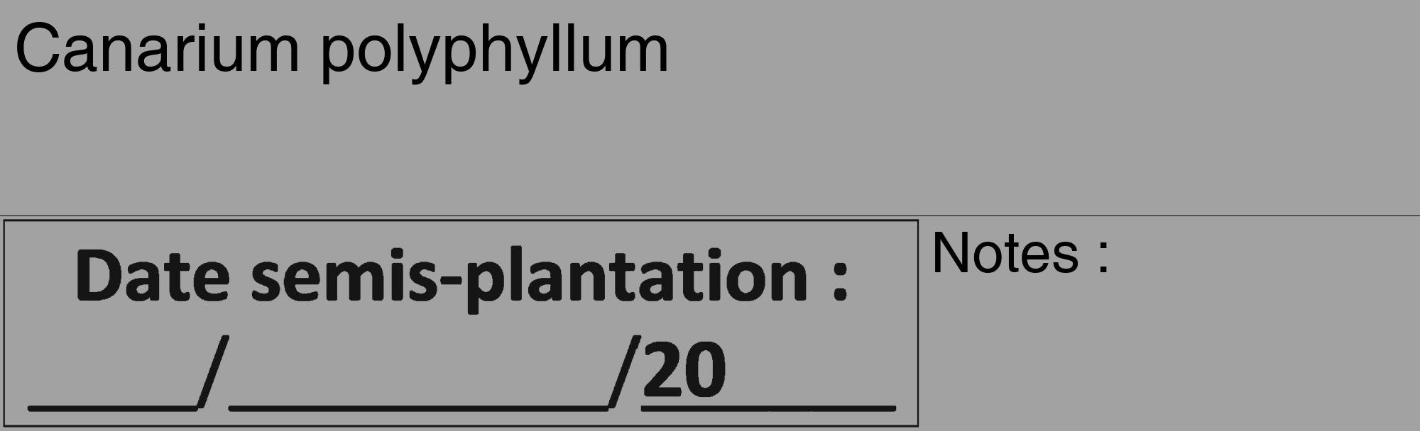 Étiquette de : Canarium polyphyllum - format c - style noire38_basique_basiquehel avec comestibilité