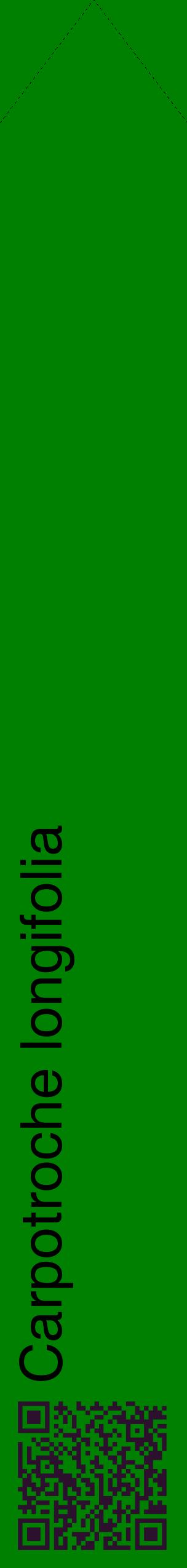 Étiquette de : Carpotroche longifolia - format c - style noire9_simplehel avec qrcode et comestibilité