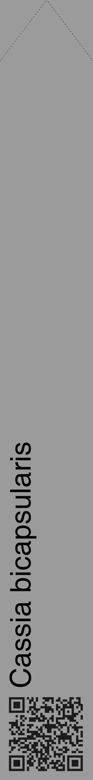 Étiquette de : Cassia bicapsularis - format c - style noire52_simple_simplehel avec qrcode et comestibilité - position verticale