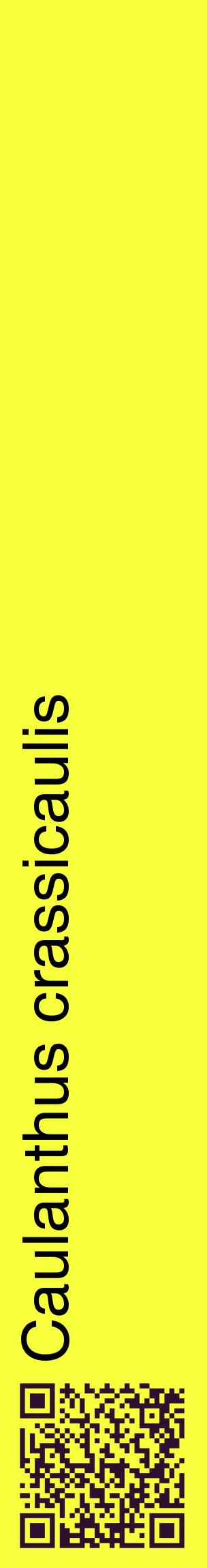 Étiquette de : Caulanthus crassicaulis - format c - style noire18_basiquehel avec qrcode et comestibilité