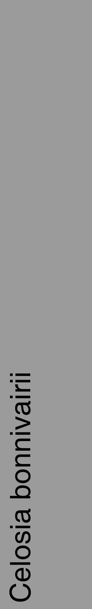 Étiquette de : Celosia bonnivairii - format c - style noire52_basique_basiquehel avec comestibilité - position verticale