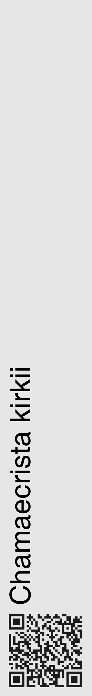 Étiquette de : Chamaecrista kirkii - format c - style noire18_basique_basiquehel avec qrcode et comestibilité - position verticale