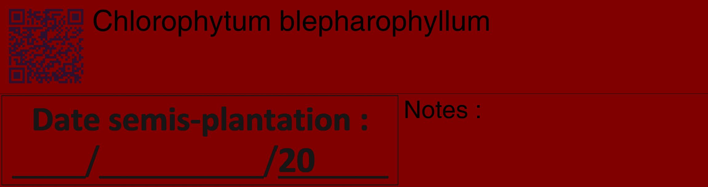 Étiquette de : Chlorophytum blepharophyllum - format c - style noire29_basique_basiquehel avec qrcode et comestibilité