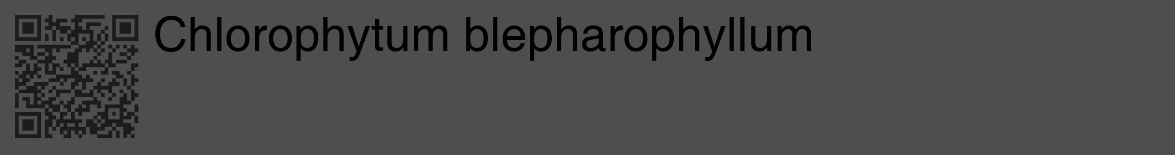 Étiquette de : Chlorophytum blepharophyllum - format c - style noire33_basique_basiquehel avec qrcode et comestibilité