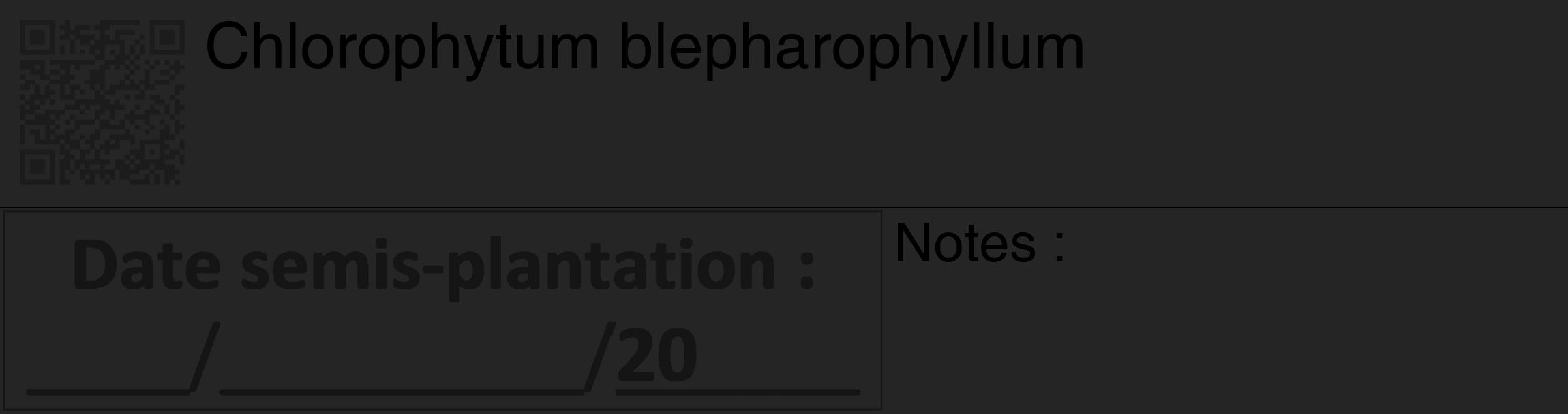 Étiquette de : Chlorophytum blepharophyllum - format c - style noire47_basique_basiquehel avec qrcode et comestibilité