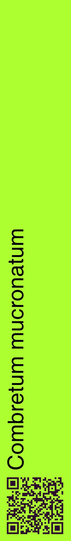 Étiquette de : Combretum mucronatum - format c - style noire17_basiquehel avec qrcode et comestibilité