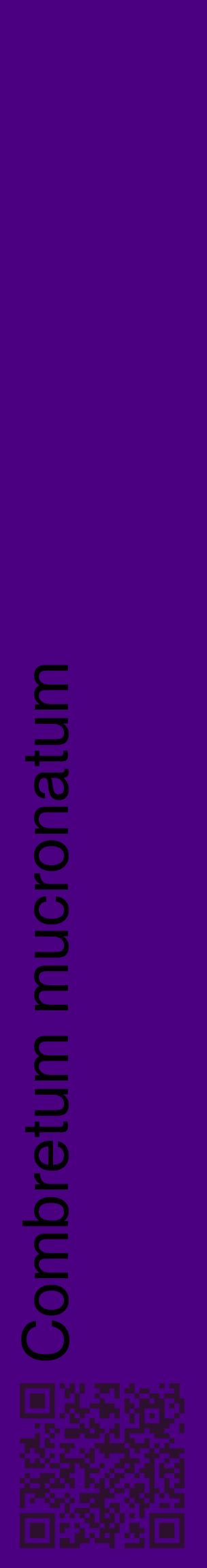 Étiquette de : Combretum mucronatum - format c - style noire47_basiquehel avec qrcode et comestibilité