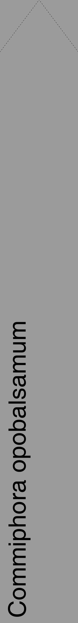 Étiquette de : Commiphora opobalsamum - format c - style noire52_simple_simplehel avec comestibilité - position verticale