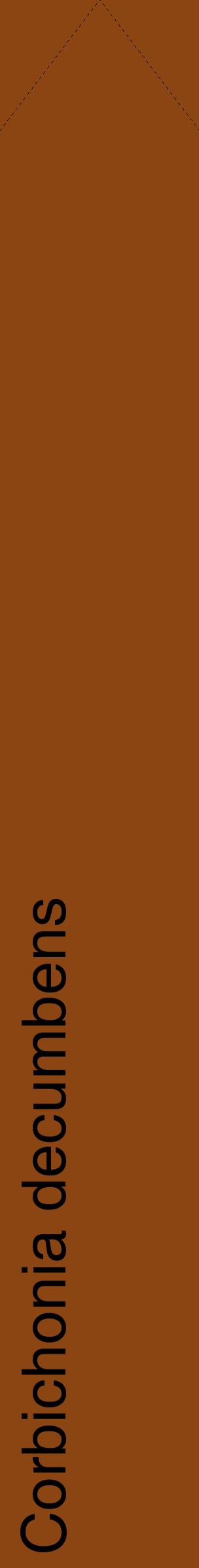 Étiquette de : Corbichonia decumbens - format c - style noire30_simplehel avec comestibilité