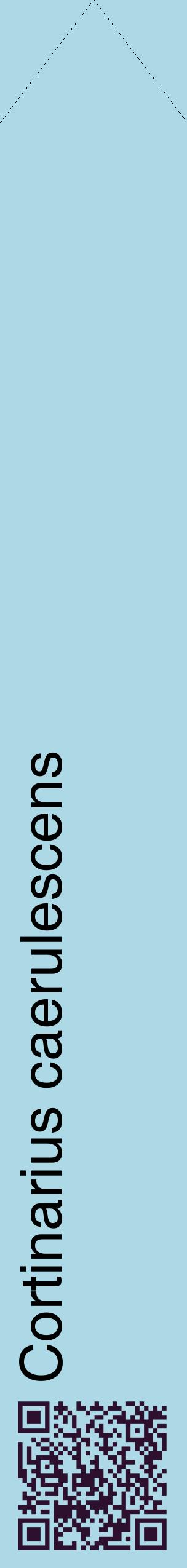 Étiquette de : Cortinarius caerulescens - format c - style noire0_simplehel avec qrcode et comestibilité
