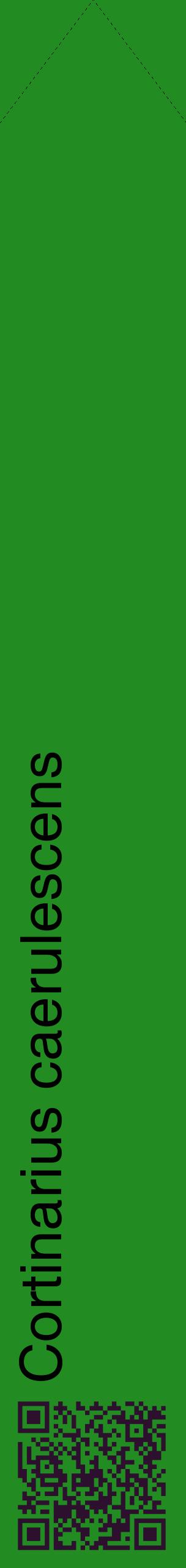 Étiquette de : Cortinarius caerulescens - format c - style noire10_simplehel avec qrcode et comestibilité