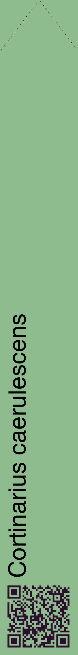Étiquette de : Cortinarius caerulescens - format c - style noire13_simplehel avec qrcode et comestibilité