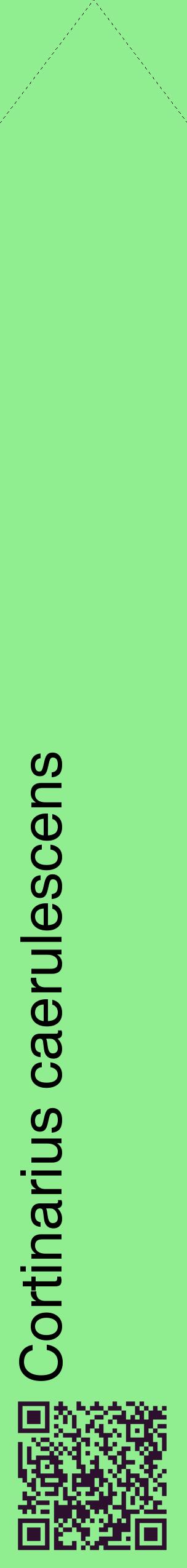 Étiquette de : Cortinarius caerulescens - format c - style noire15_simplehel avec qrcode et comestibilité
