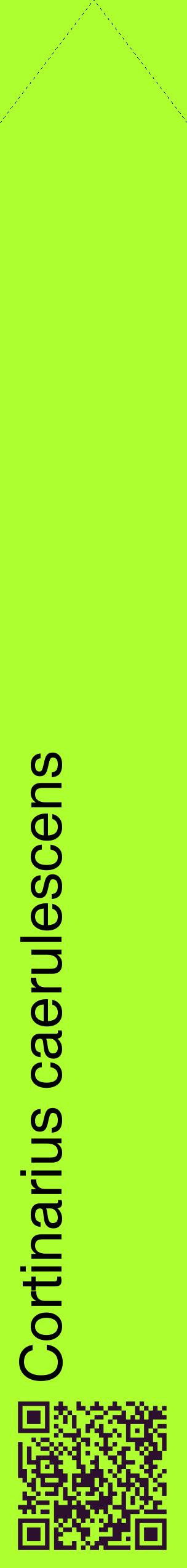 Étiquette de : Cortinarius caerulescens - format c - style noire17_simplehel avec qrcode et comestibilité