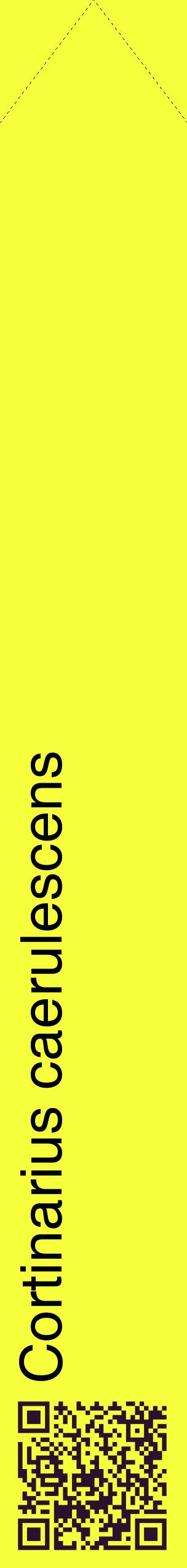 Étiquette de : Cortinarius caerulescens - format c - style noire18_simplehel avec qrcode et comestibilité