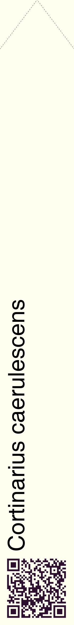 Étiquette de : Cortinarius caerulescens - format c - style noire19_simplehel avec qrcode et comestibilité