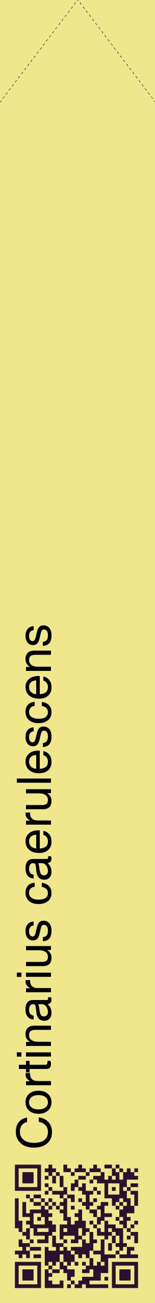 Étiquette de : Cortinarius caerulescens - format c - style noire20_simplehel avec qrcode et comestibilité