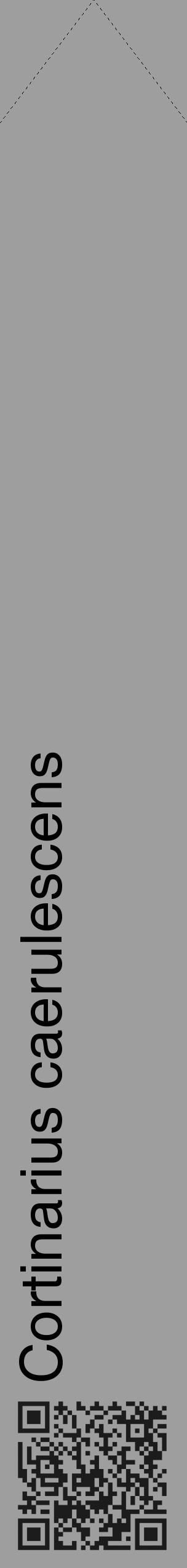 Étiquette de : Cortinarius caerulescens - format c - style noire23_simple_simplehel avec qrcode et comestibilité - position verticale