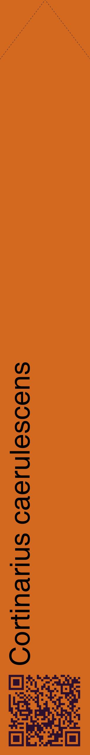 Étiquette de : Cortinarius caerulescens - format c - style noire31_simplehel avec qrcode et comestibilité